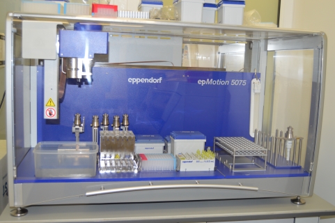 Загрузка изображения...